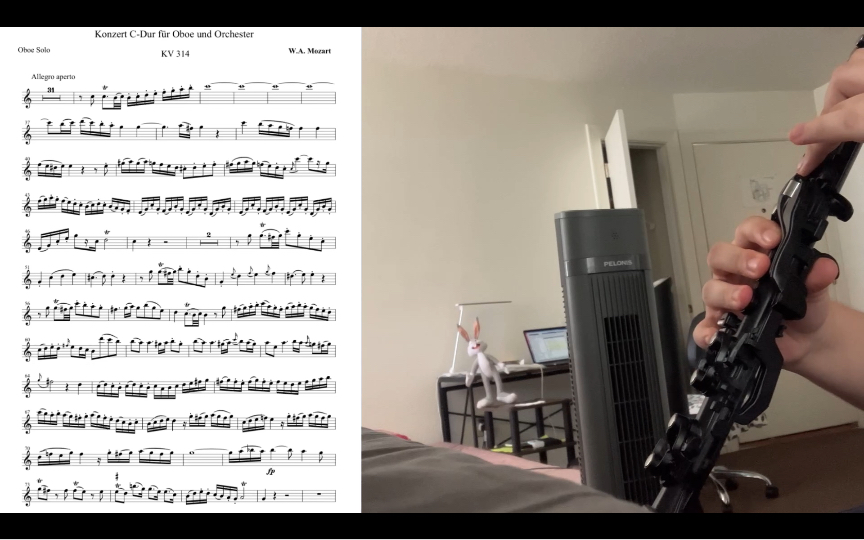 [图]我说我开始吹双簧管了你信吗？莫扎特C大调双簧管协奏曲 K.314 第一乐章 单簧管视奏 （不认识这个管的话请看视频简介）