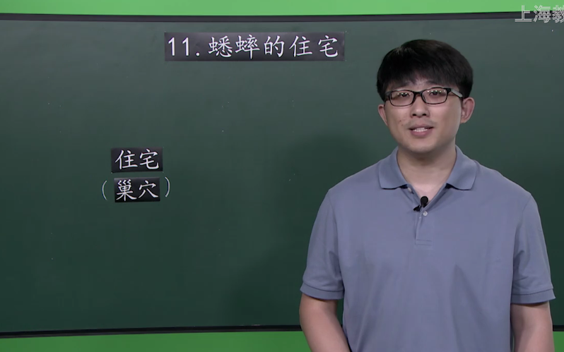 【知识串讲】《蟋蟀的住宅》部编人教版四年级语文上册YW04A039 上海27 第3单元11.蟋蟀的住宅①哔哩哔哩bilibili