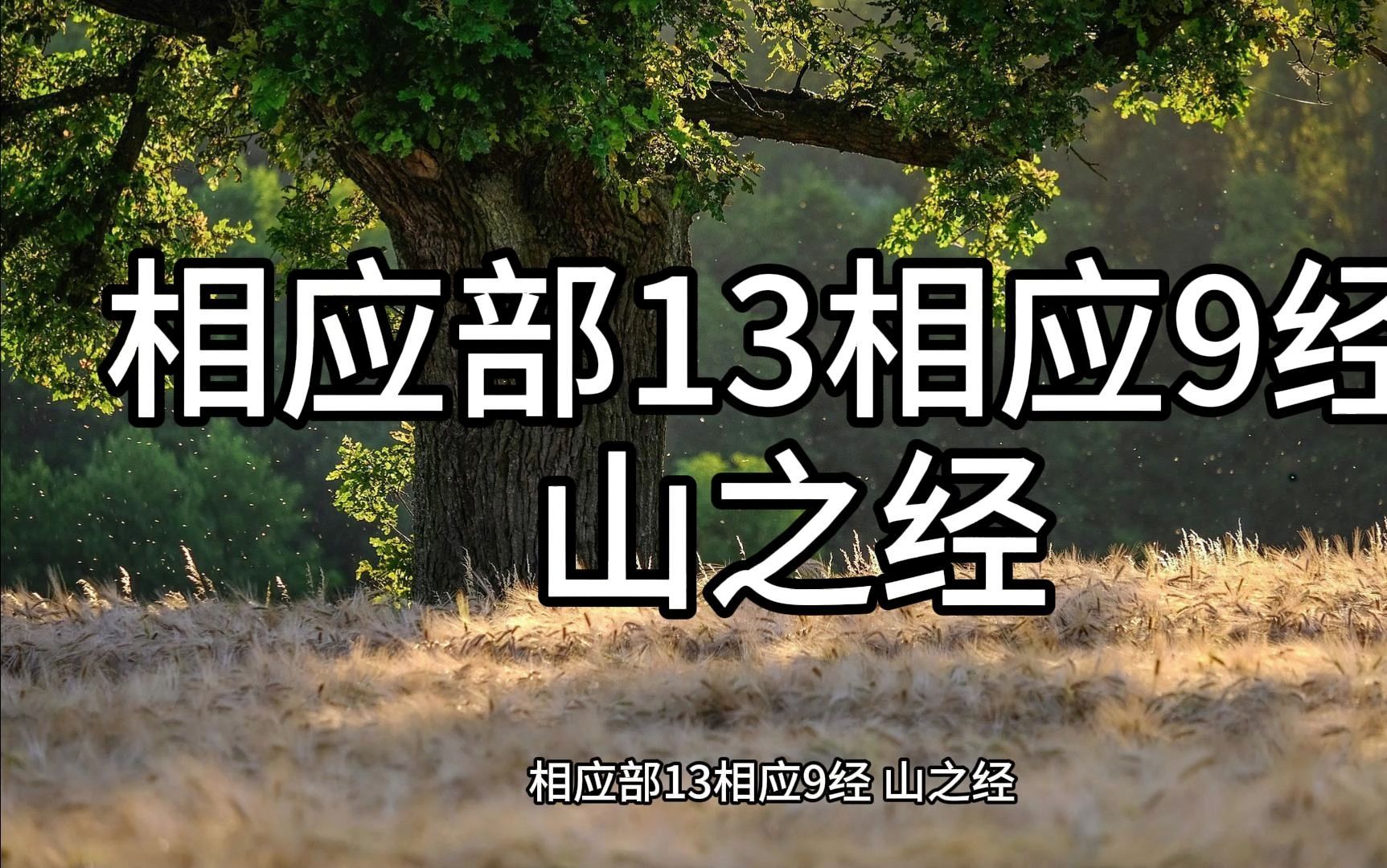 125.相应部13相应9经 山之经(白话佛经)解说哔哩哔哩bilibili