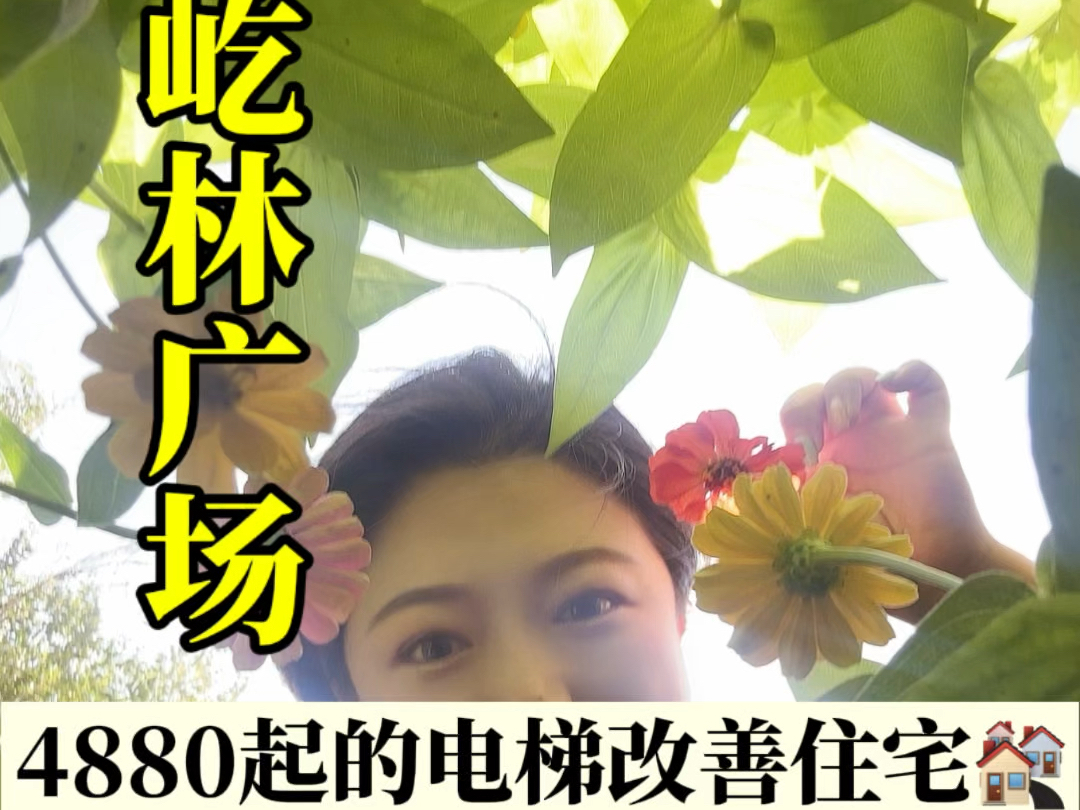 4880起的电梯改善住宅哔哩哔哩bilibili