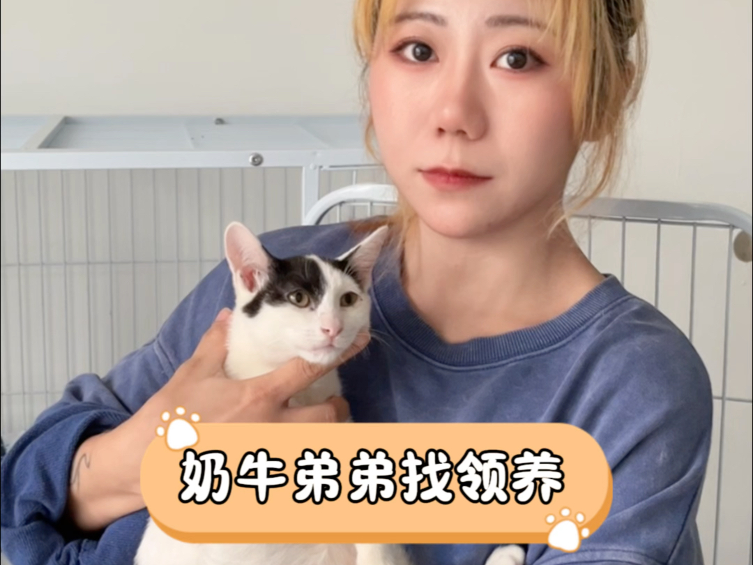 【猫九一个小猫的理想国】视频已打包,欢迎围观!哔哩哔哩bilibili