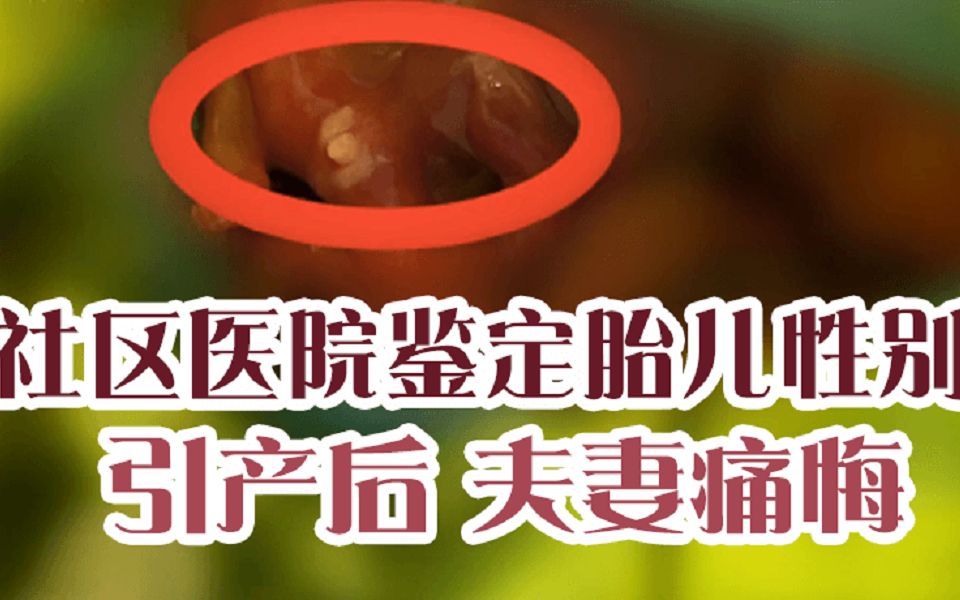 百姓关注【社区医院鉴定胎儿性别?引产后发现是儿子,夫妻痛悔】哔哩哔哩bilibili