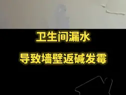 Download Video: 卫生间漏水～导致墙壁返碱发霉