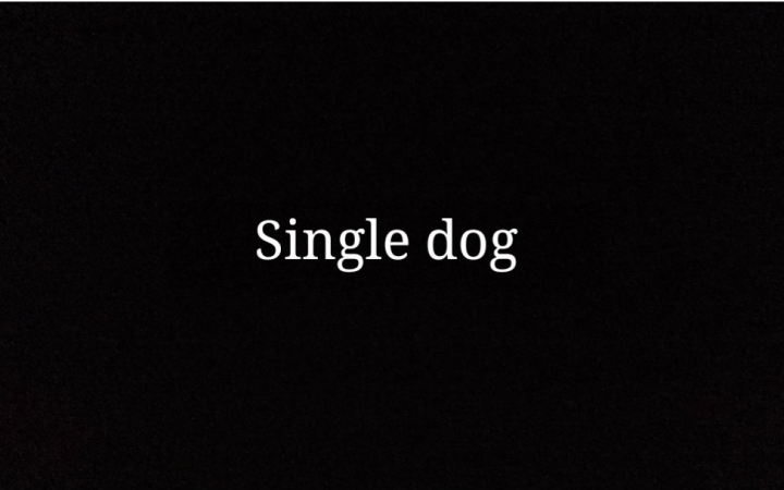 [图]Single dog 【单身汪】