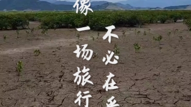 玉环海山哔哩哔哩bilibili