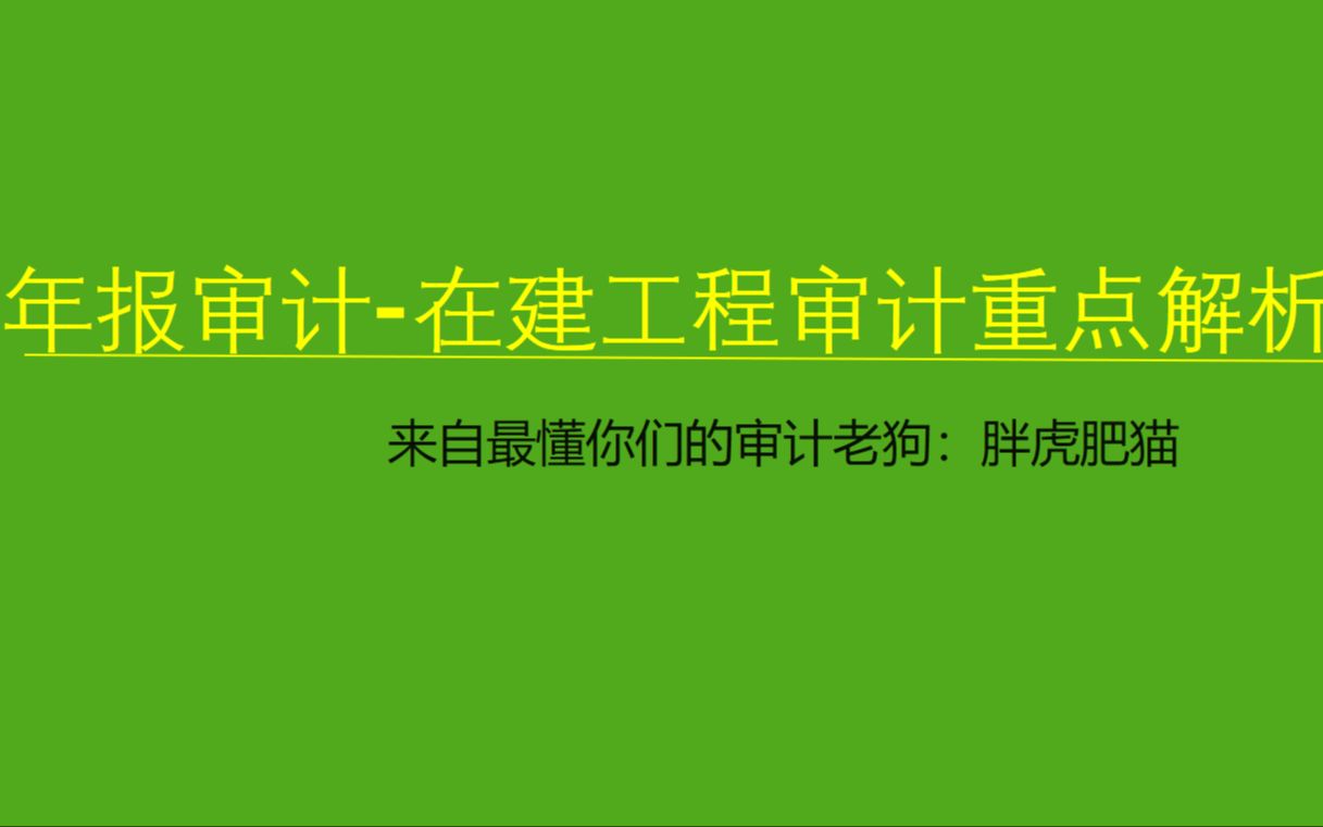 会计师事务所审计底稿实训在建工程审计方法经验分享哔哩哔哩bilibili