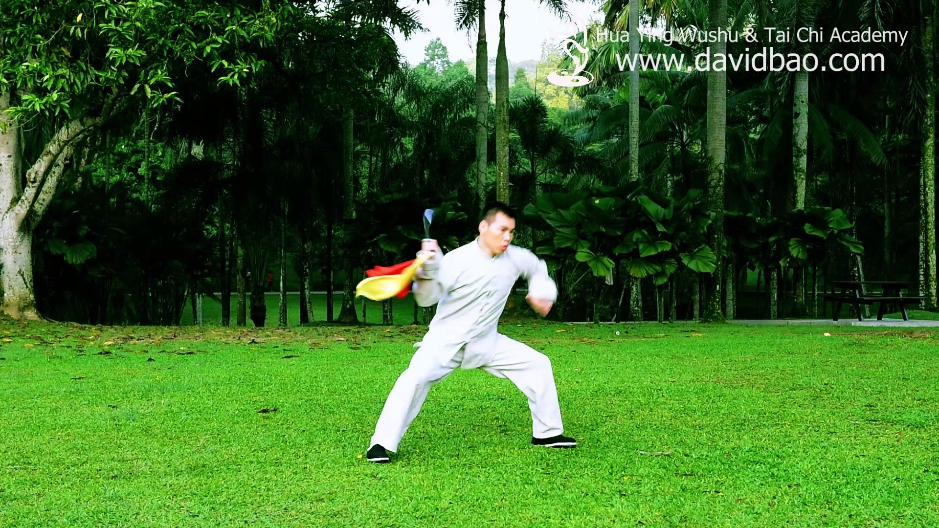 [图]陈氏太极单刀23式（Chen-style Tai Chi Sabre 23 Form）