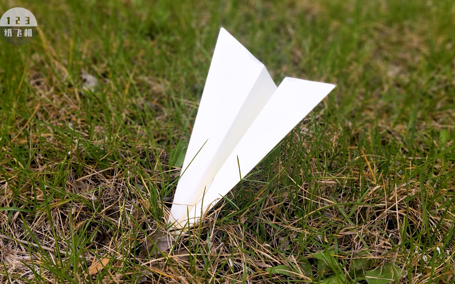 飞得久的纸飞机图片