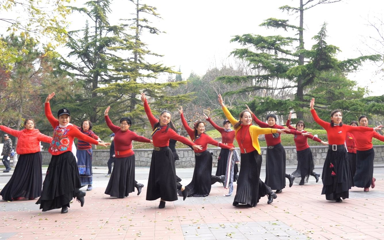 [图]广场舞《心在草原飞》节奏动感，简单的舞步，一学就会