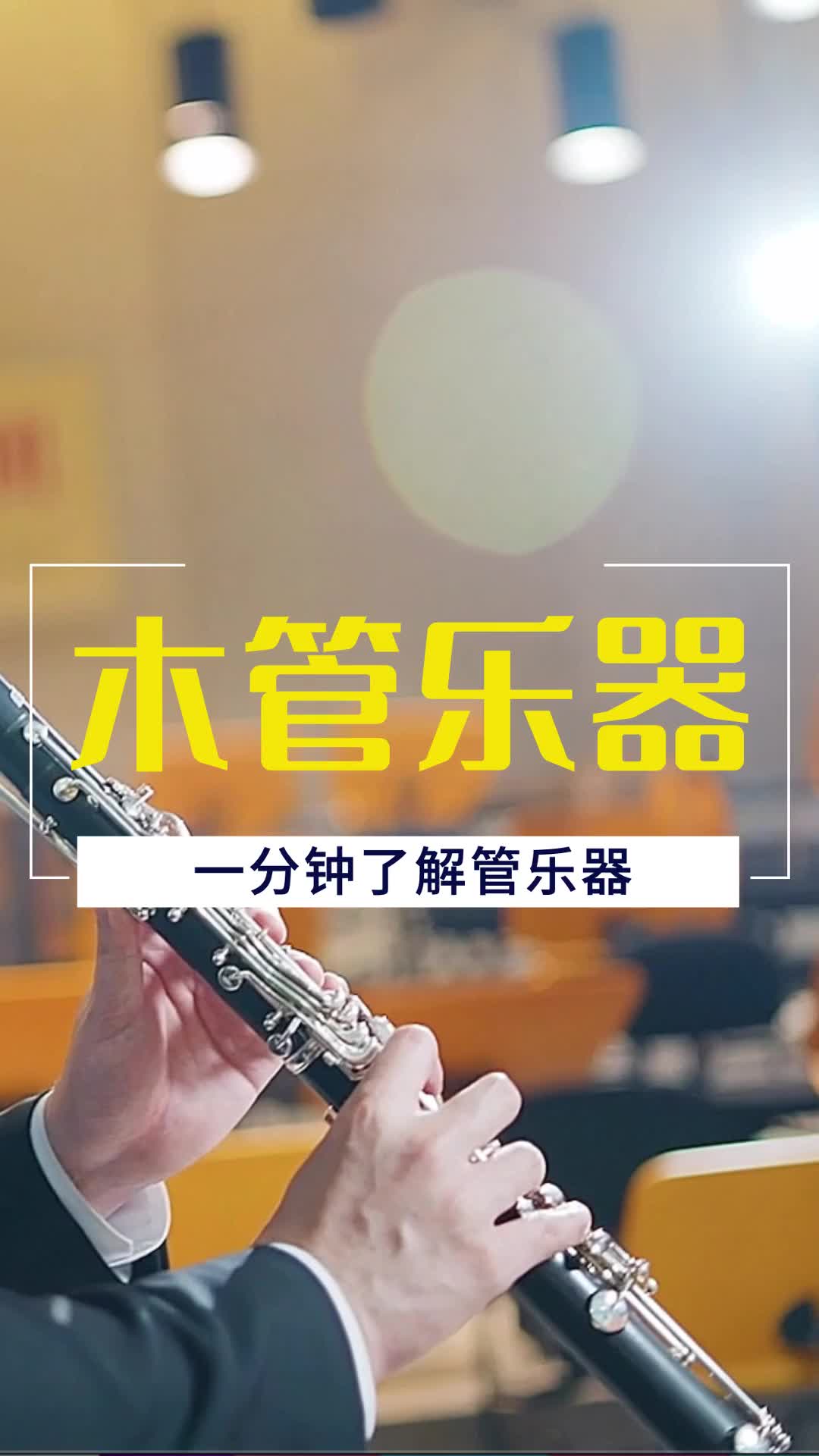 管乐家族都有谁,带你快速认识木管乐器. 管乐 乐器学习 知识分享 木管乐器 长笛 单簧管哔哩哔哩bilibili