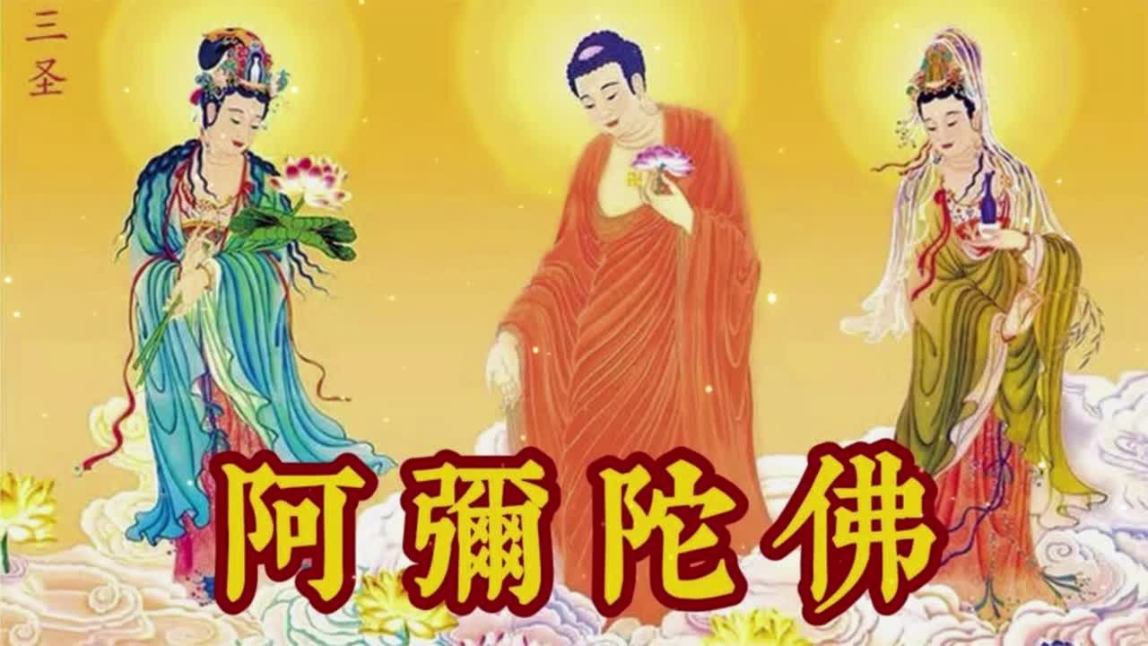 禅乐《阿弥陀佛》愿您平安喜乐,百事如意!静下心来慢慢听!哔哩哔哩bilibili