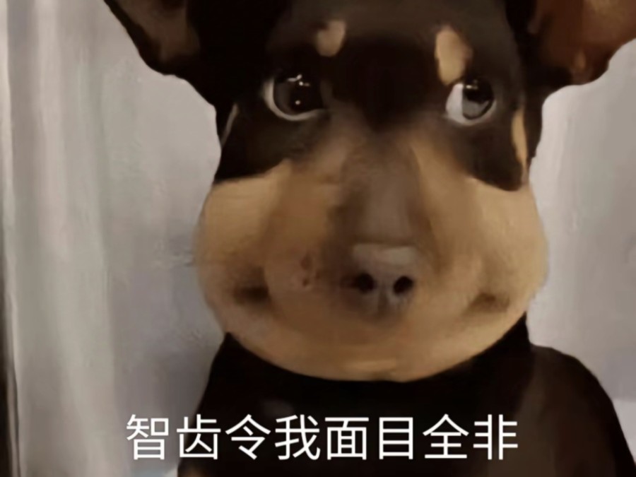 我与智齿不共戴天 智齿让我每天只能抱着布洛芬哭 我讨厌你