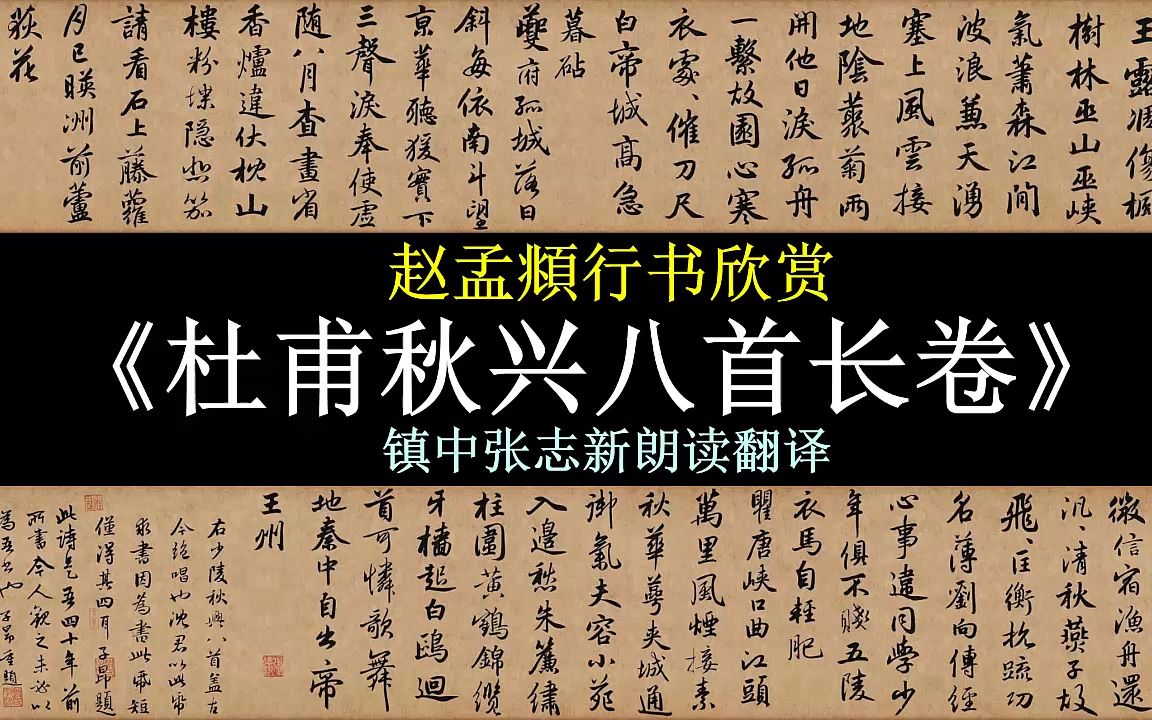 赵孟頫行书《杜甫秋兴八首长卷》全文朗读翻译 镇中张志新朗读哔哩哔哩bilibili