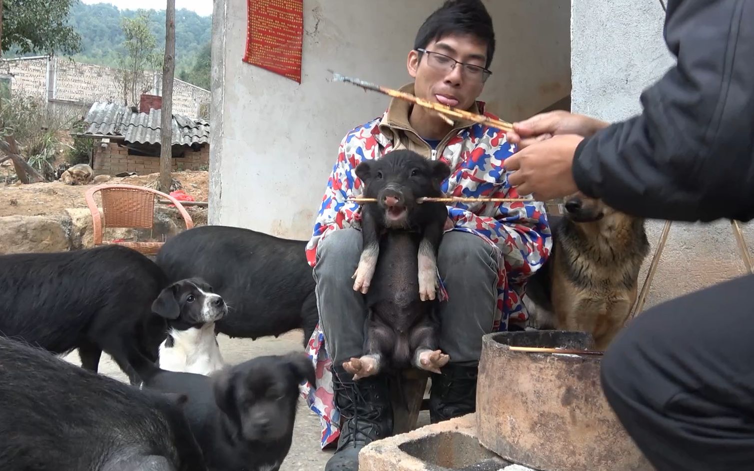 金洋兄弟前年的冬天天冷我们在家里烤了两条鱼抱了一下小猪