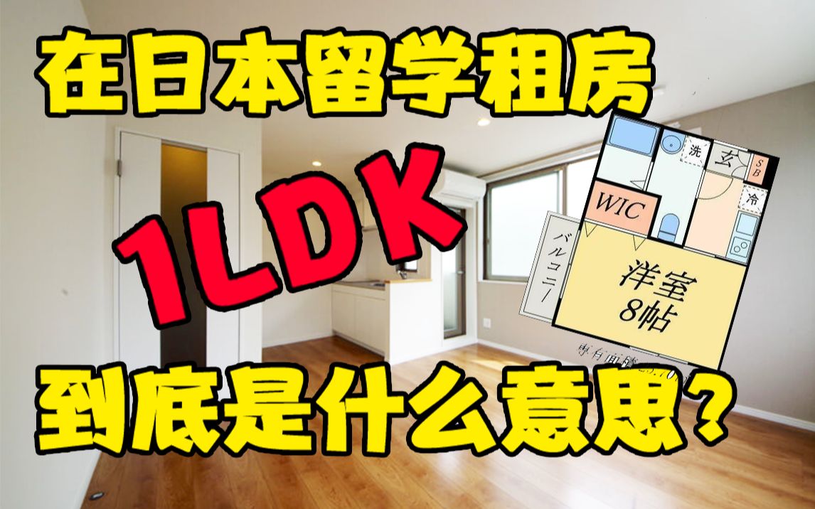 1LDK指的到底是什么?【八月的留学生活】#1哔哩哔哩bilibili