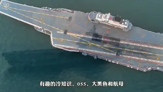 Download Video: 有趣的冷知识，055和航母，东海舰队一艘都没分到