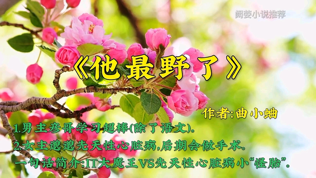 [图]老书迷小说推荐《他最野了》作者：曲小蛐，已完结，天之骄子，甜文，校园。