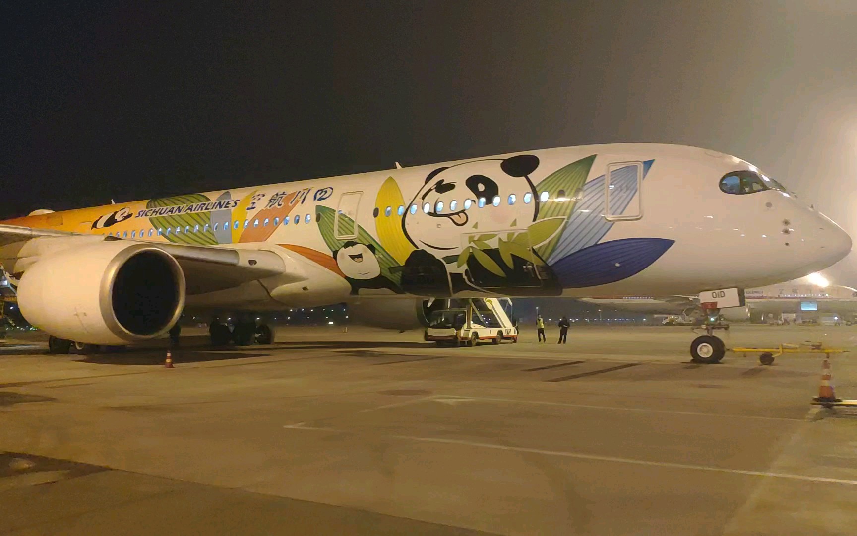 双流机场偶遇熊猫航班