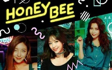 [图]【大自然中字】f(x) Luna EXID HaNi MAMAMOO 颂乐<HONEY BEE> 中韩字幕M