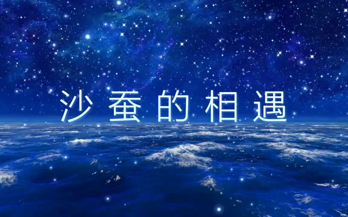 海洋生物多样性⑩ | 沙蚕的相遇哔哩哔哩bilibili