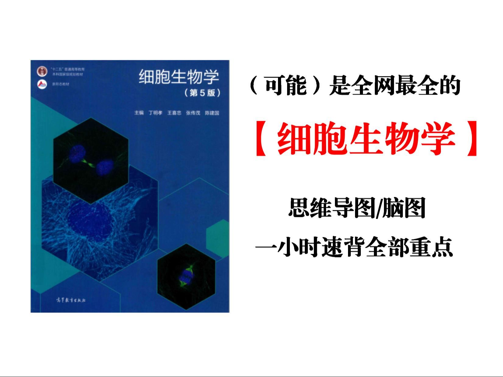 【细胞生物学】最全思维导图免费下载!生物专业大学生必备 脑图|笔记|重点|复习|知识梳理|期末哔哩哔哩bilibili