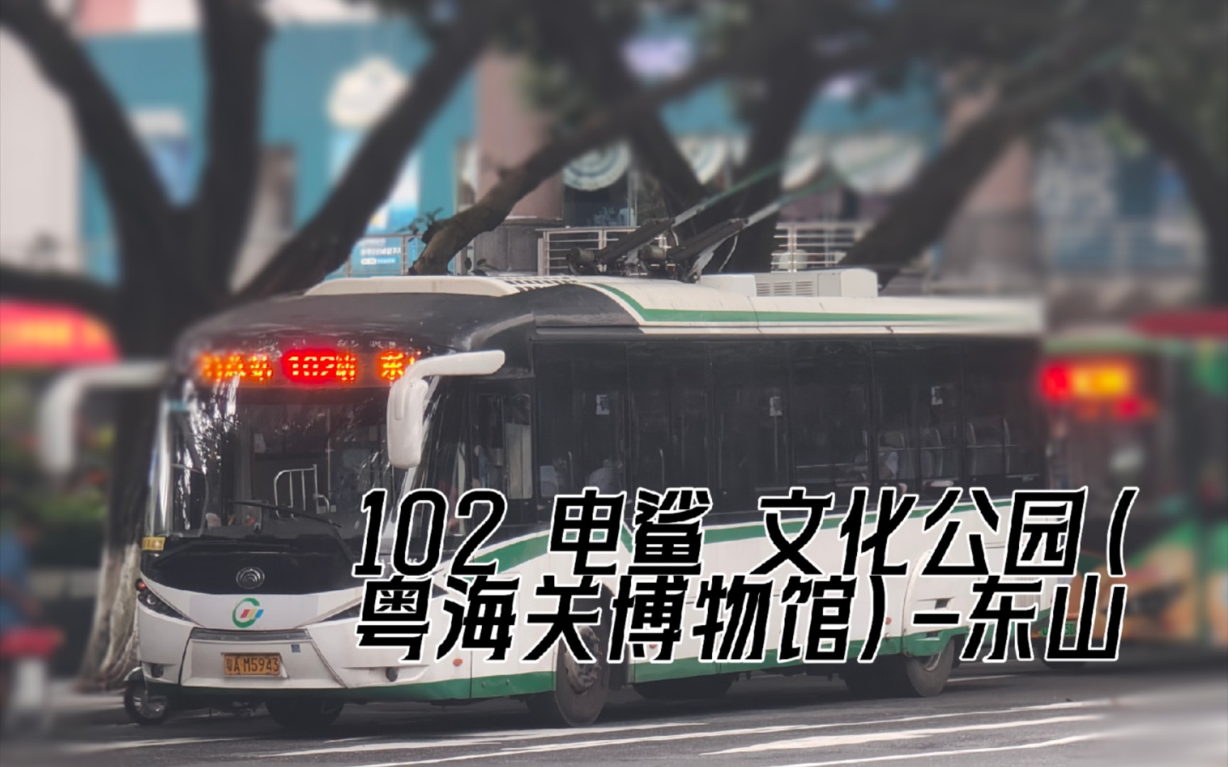 3 电鲨 102路文化公园(粤海关博物馆)总站-东山总站