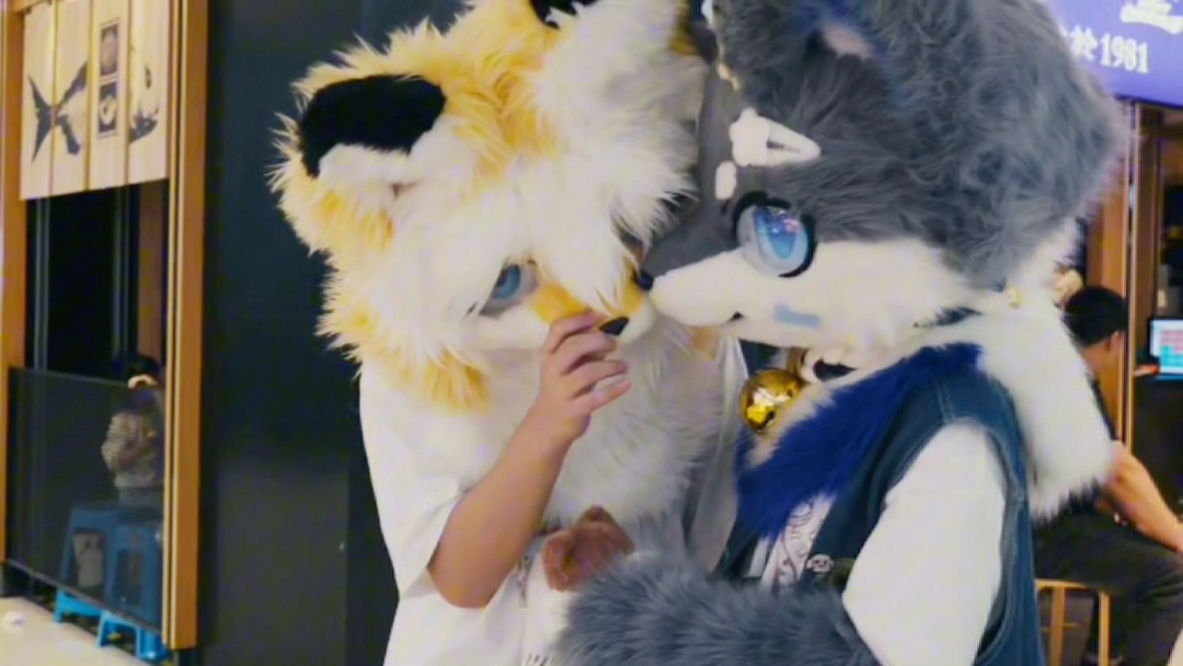 【是小张w】第一次在b站发视频,求关注!