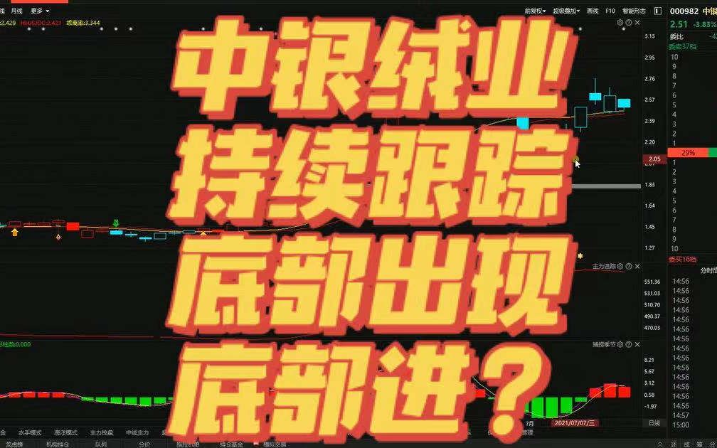 中银绒业:深度解析,回调到底低吸入?哔哩哔哩bilibili