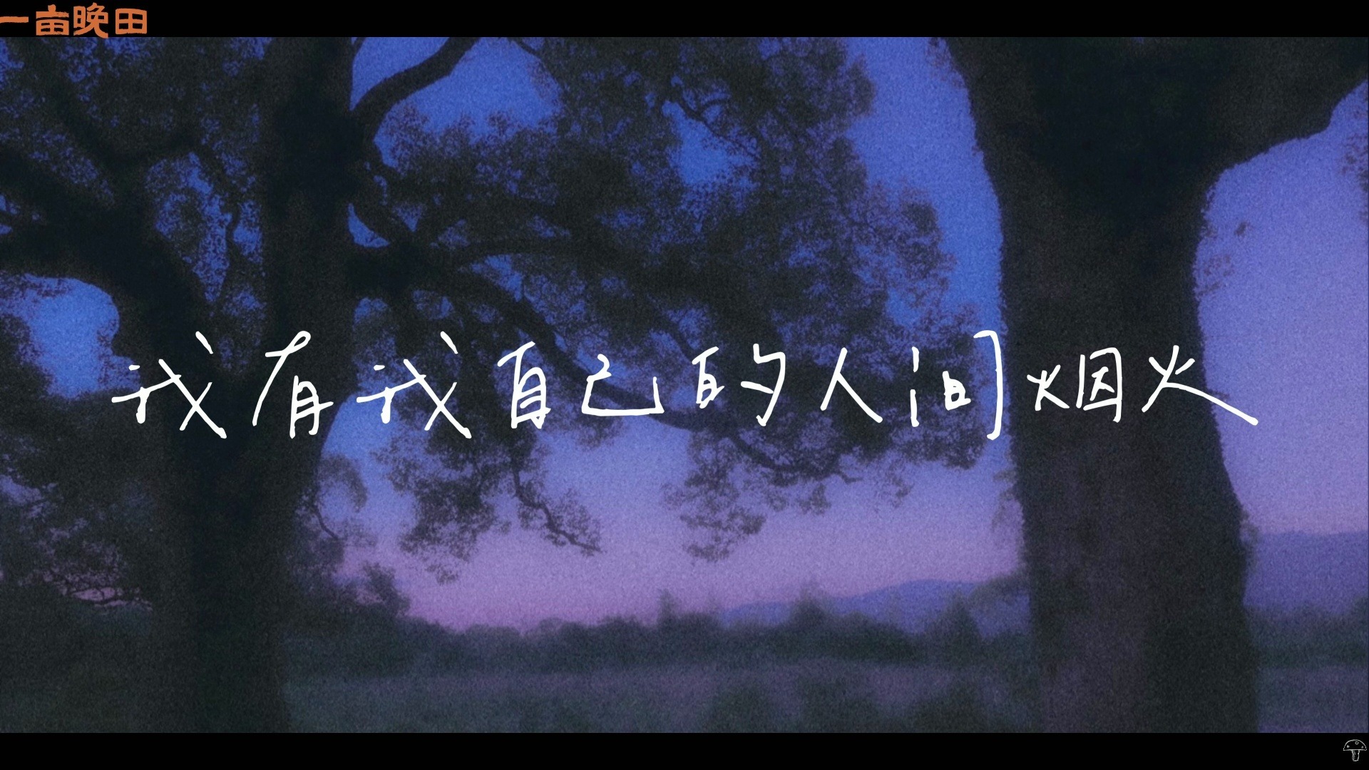 “来山坡摘朵云玩”丨《一亩晚田》