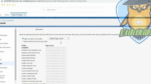 0基础入门_Salesforce_admin管理员课程_中文学习_记录类型