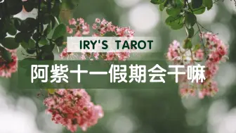 Download Video: 【Iry一芮塔罗】预测一下阿紫十一会做什么？