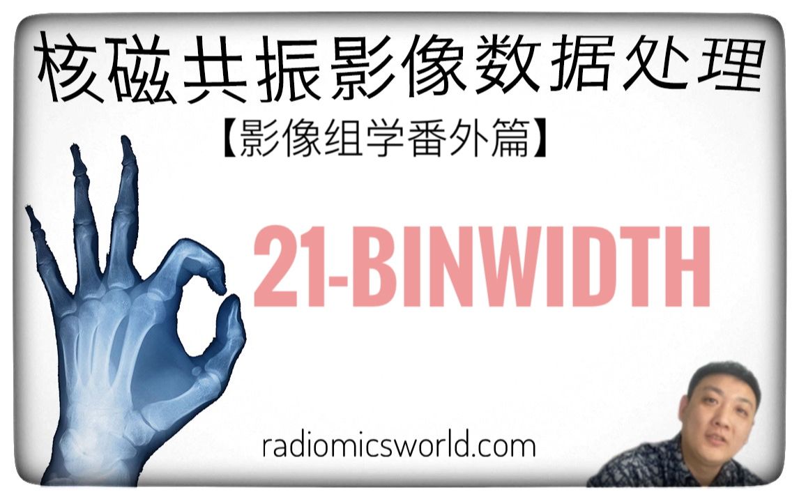 【影像组学番外篇】【核磁共振影像数据处理】bins,bin width是啥?怎么设置合适?哔哩哔哩bilibili