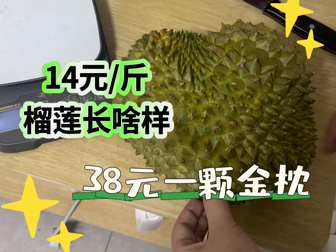 14元一斤!38元一颗的爱心形金枕榴莲!这个夏天最最低价的榴莲长啥样?!哔哩哔哩bilibili