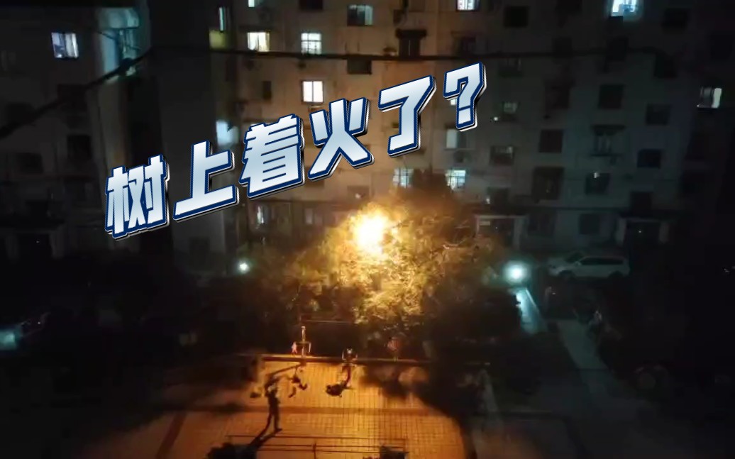 小区广场树上着火了?