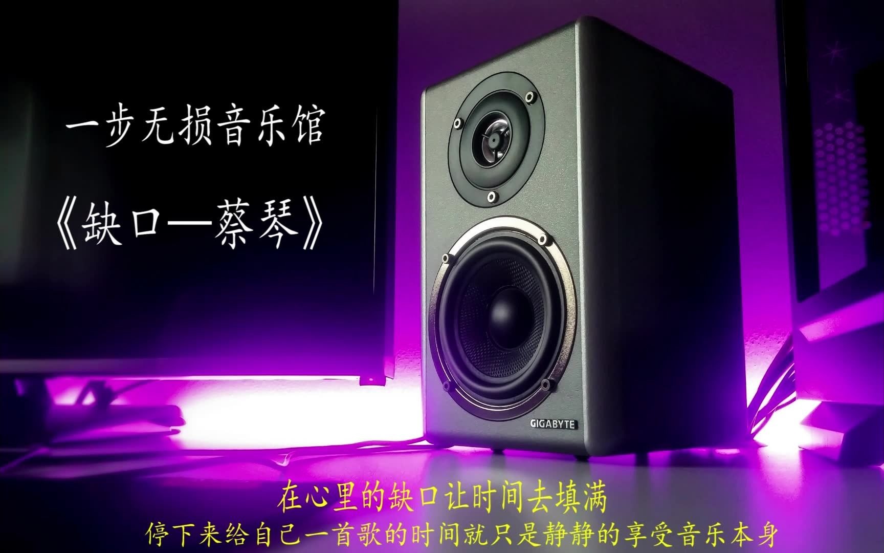 [图]轻轻吟唱娓娓道来无损HIFI音质温暖嗓音蔡琴《缺口》，望你心里的缺口在时间的长河中慢慢被填满...