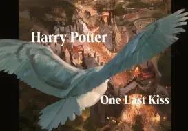 Harry Potter Episode：One Last Kiss