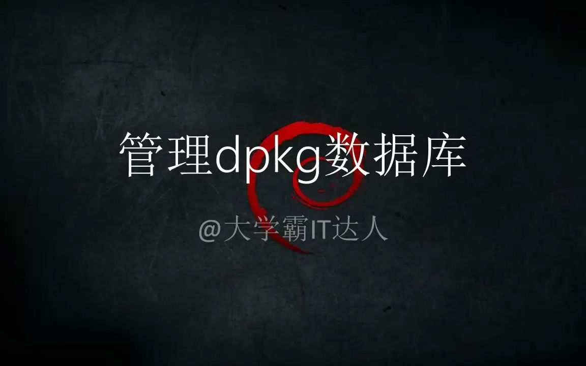 【Debian系列管理软件包】管理dpkg数据库哔哩哔哩bilibili