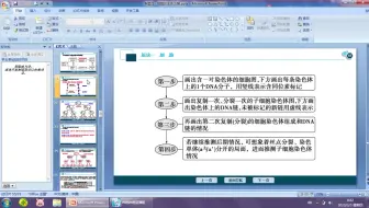 20200305-减数分裂与可遗传变异1