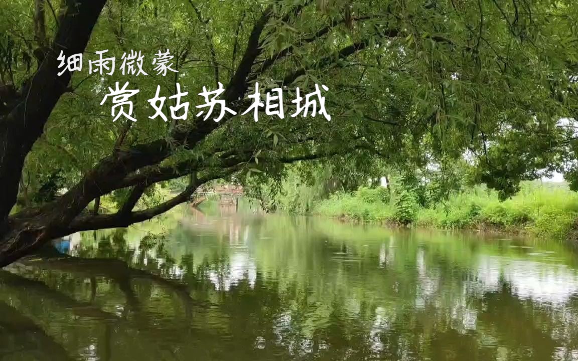 [图]微雨江南