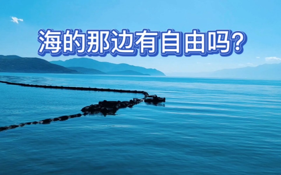 艾伦,海的那边没有自由啊!