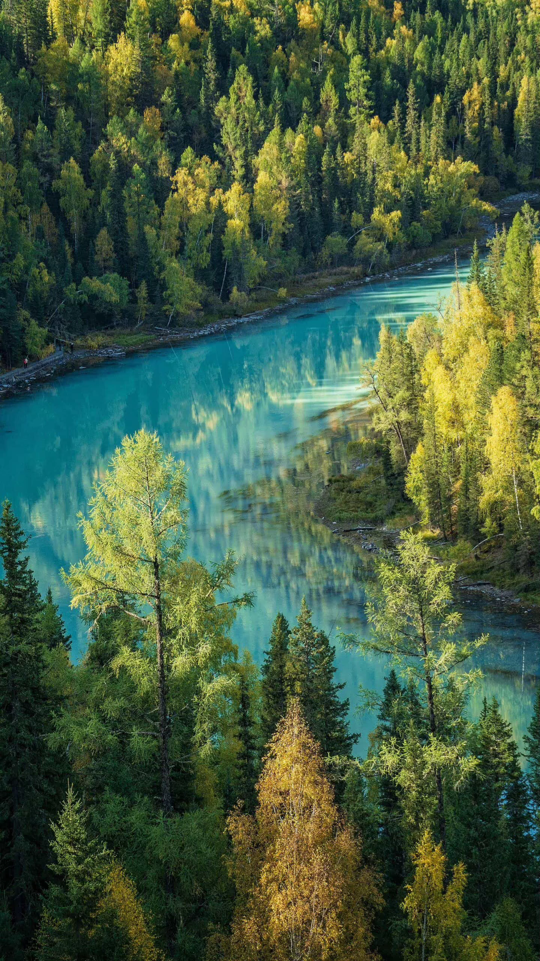 外面的风景真好看