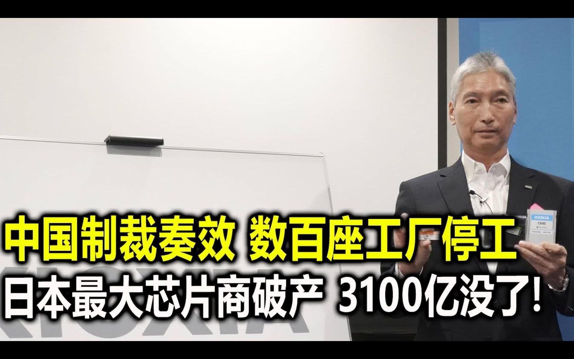 中国制裁奏效,数百座工厂停工,日本最大芯片商破产,3100亿没了哔哩哔哩bilibili