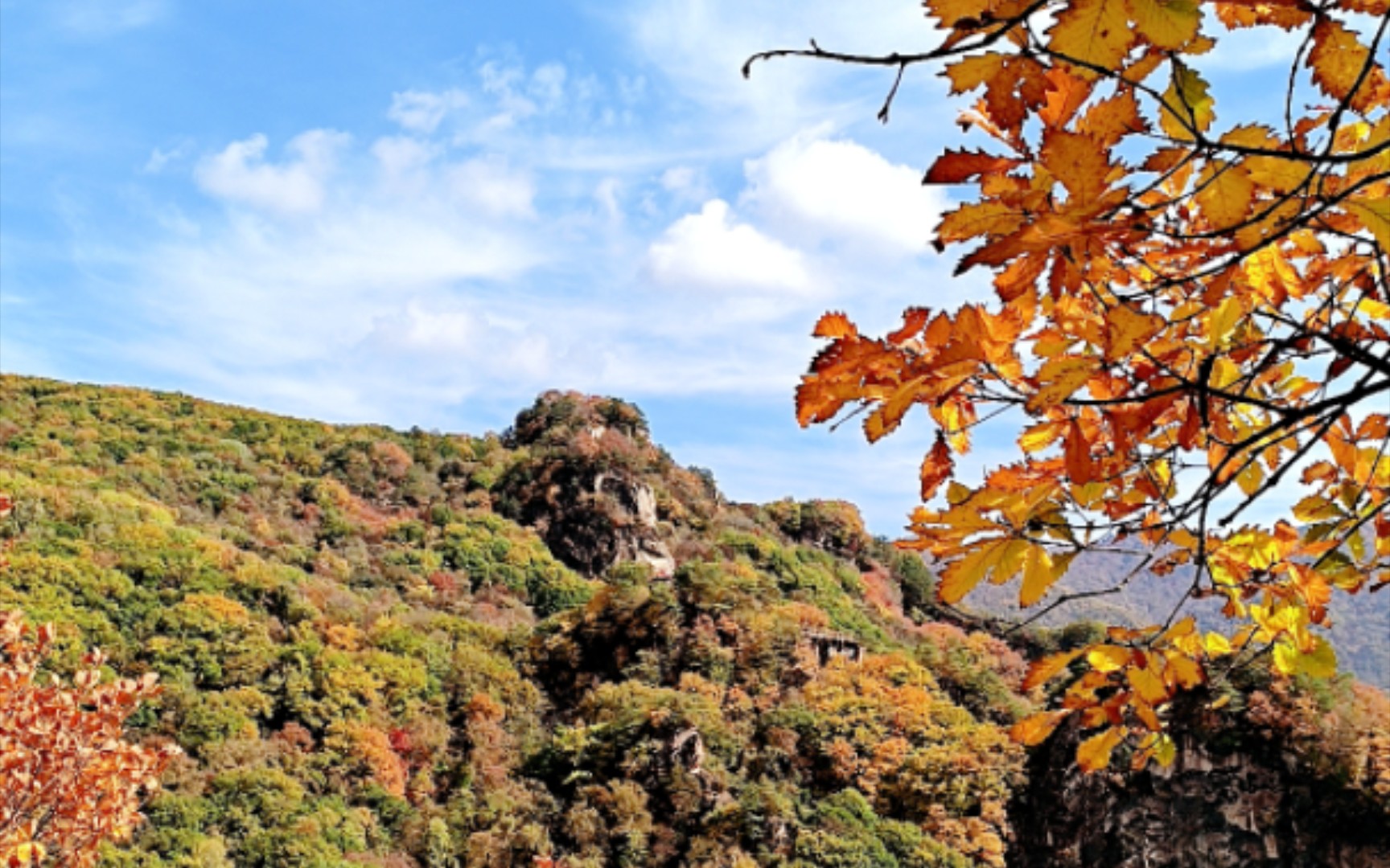 秋天山上的好风景送给大家哦