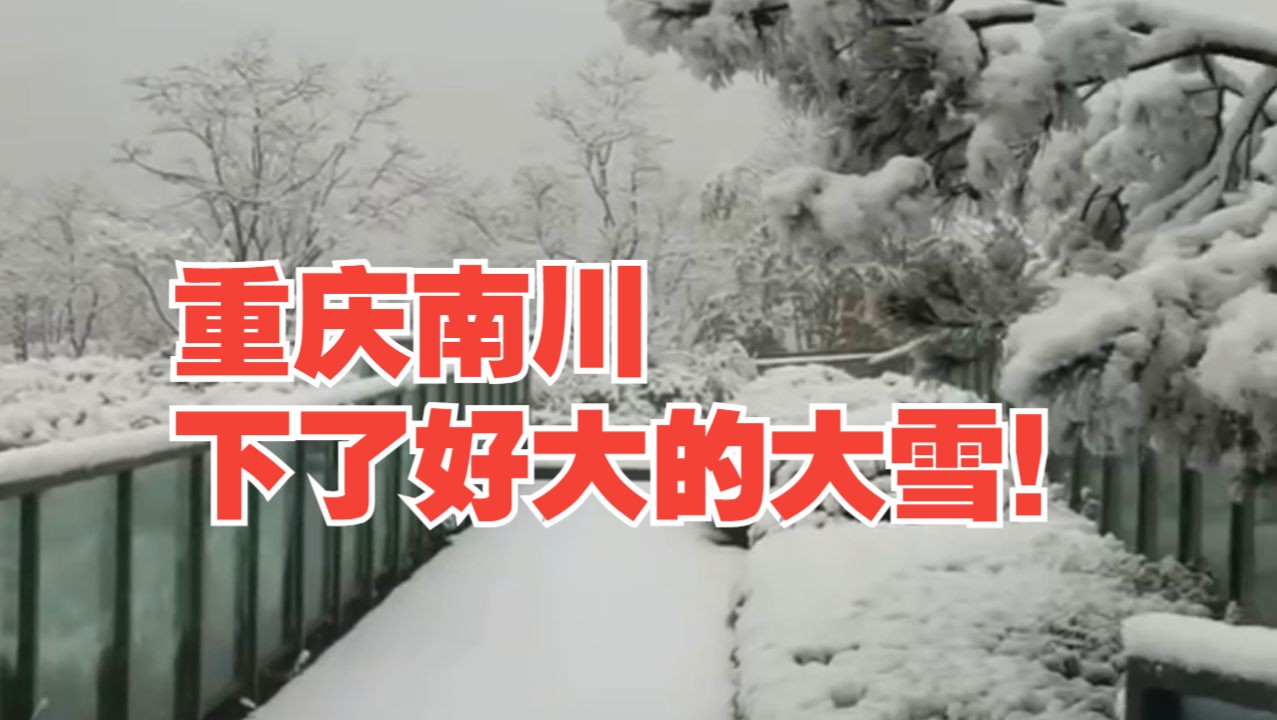 重庆南川迎来大雪!哔哩哔哩bilibili