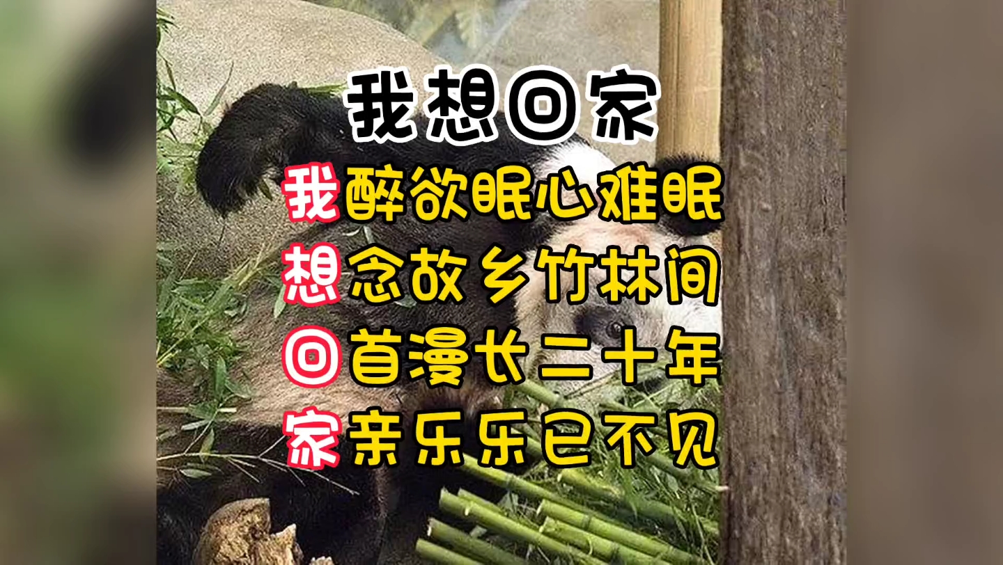 我是丫丫,我想回家