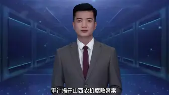 【审计案例】审计揭开山西农机腐败窝案