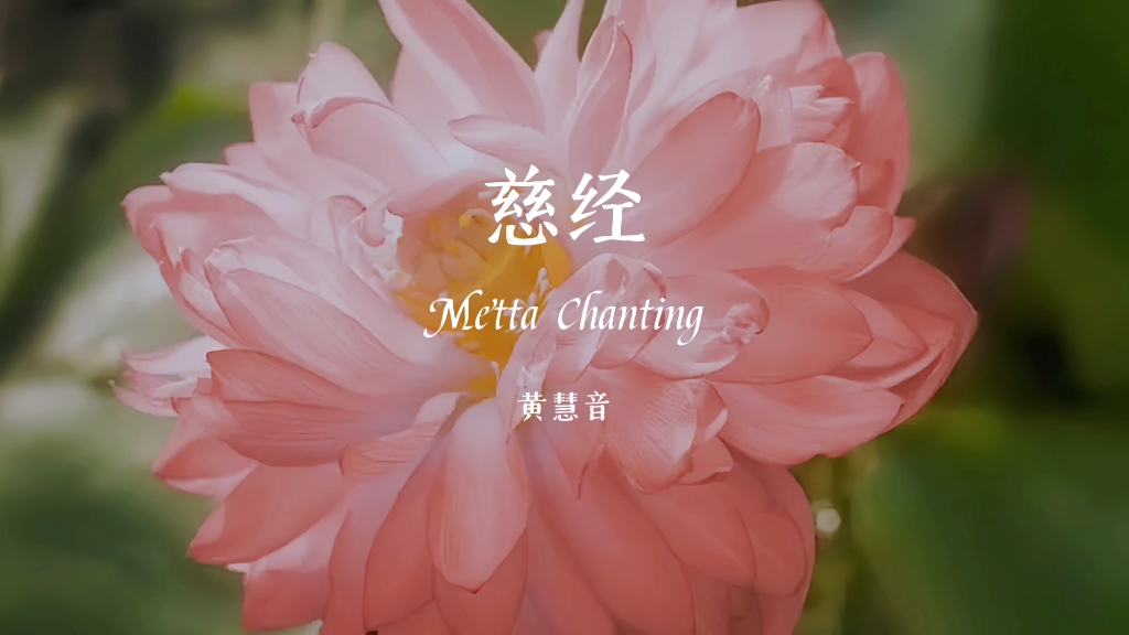 慈经 the chant of metta 黄慧音 巴利语版 不要忘了对自己慈悲哦