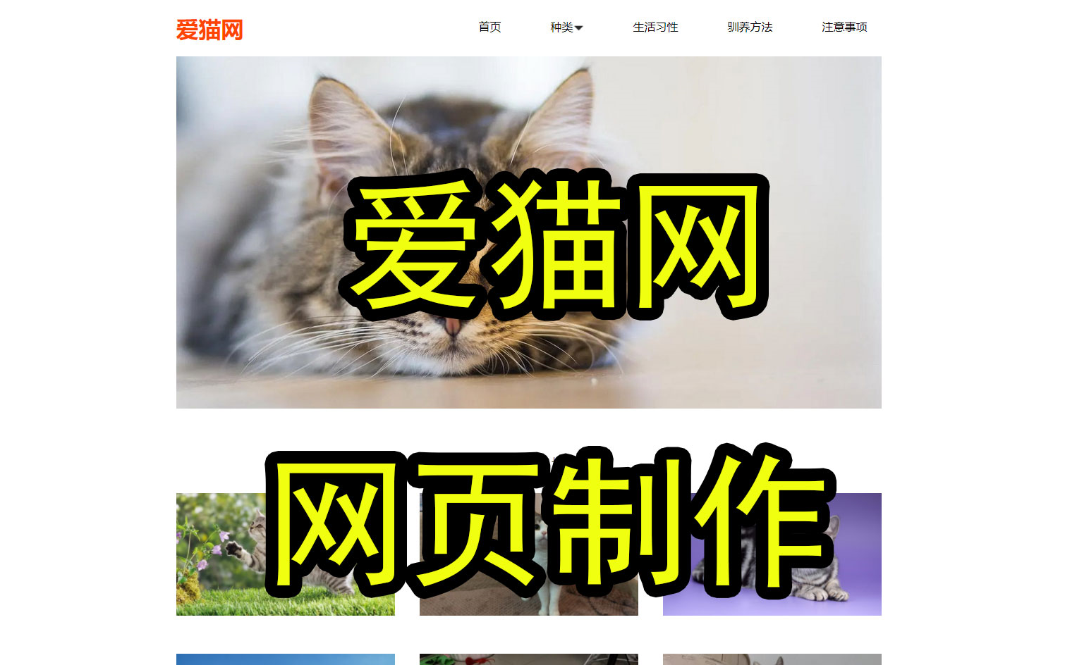 《爱猫网》前端网页实践作品 1页 javascript实现网页下拉菜单 轮播图 tab标签页 动态时间哔哩哔哩bilibili