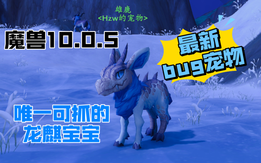 【已绝版】【魔兽】最新bug宠物!唯一的雪山龙麒宝宝网络游戏热门视频