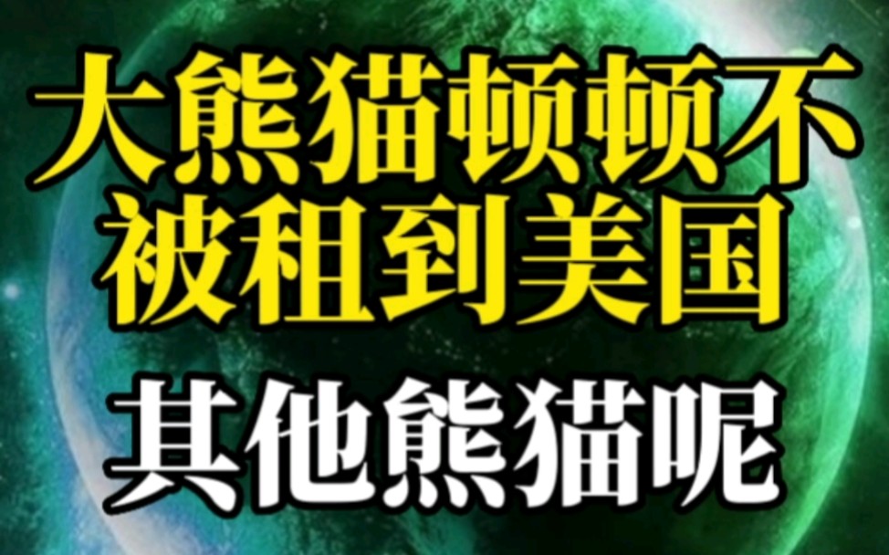 那些被租借的大熊猫怎么样了,顿顿不送到美国了那其他大熊猫呢?认大熊猫挑战哔哩哔哩bilibili